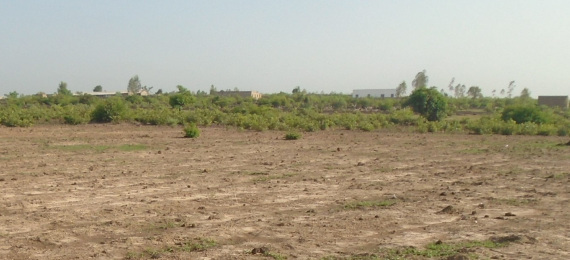 Mali PV site Safo